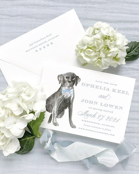 Custom Watercolor Pet Empress Stationery