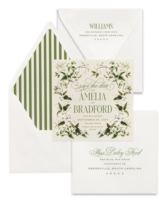 Amelia Save the Date