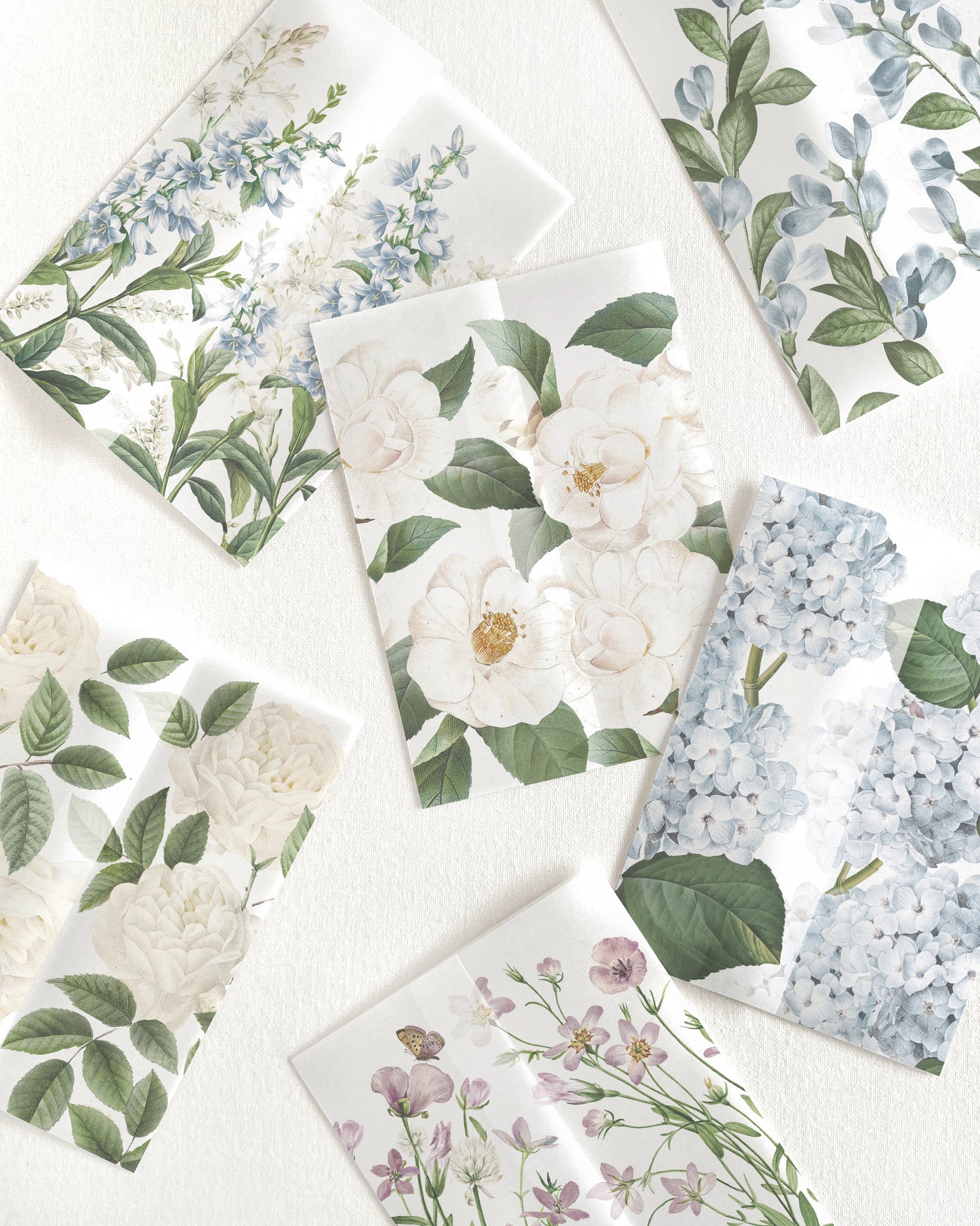 Botanical Vellum Covers – Empress Stationery